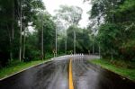 Wet Road Stock Photo