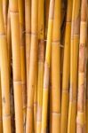 Yellow Bamboo Stock Photo