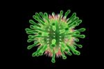 Influenza Virus Stock Photo