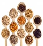 Seeds On Wooden Spoon Stock Photo