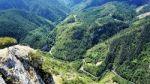 Alpine Road In The Rhodope Mountain, Bulgaria Stock Photo