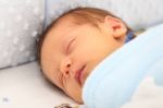 Newborn Sleeping Deeply Stock Photo