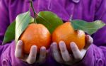 Girl And Clementines Stock Photo