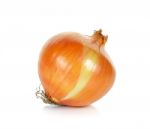 Onion Isolated On The White Background Stock Photo