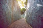 Walkway In Park Stock Photo