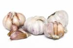 Garlic Bulbs Stock Photo