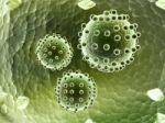 Virus Stock Photo