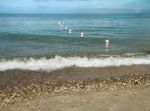 Buoy Stock Photo