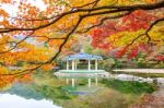 Naejangsan National Park In Autumn,south Korea Stock Photo