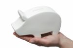 One Piggy Bank Stock Photo