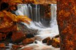 Horseshoe Falls In Mount Field National Park Stock Photo