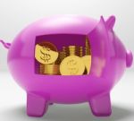 Dollar Coins Piggy Shows Prosperity And Security Stock Photo