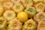 Cape Gooseberry (physalis) Stock Photo