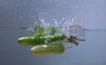 Vegetable Stock Photo