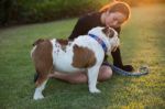 Woman And Bulldog On The Grass Stock Photo