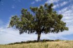 Rural Countryside Stock Photo