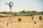 Cows And A Windmill In The Countryside Stock Photo