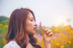 Young Beautiful Woman Smells A Flower Stock Photo