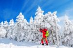 Young Woman Taking Photo With Smartphone On Mountains In Winter Stock Photo