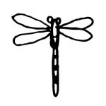 Dragonfly Doodle Hand Drawn Stock Photo