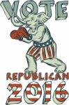 Vote Republican 2016 Elephant Boxer Isolated Etching Stock Photo