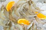 Fresh White Shrimps Stock Photo