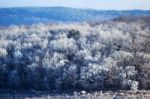 Winter Frost Stock Photo