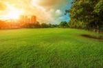 Beautiful Morning Light In Public Park With Green Grass Field And Green Fresh Tree Plant Perspective To Copy Space For Multipurpose Stock Photo