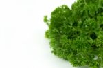 Fresh Green Parsley On White Background Stock Photo