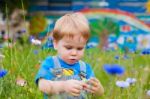 Cute Small Boy At The Field Of Flowers Having Good Time Stock Photo