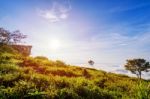 Sunrise On Phu Chi Fa Forest Park, Thailand Stock Photo