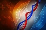 Digital Illustration Dna Structure , 3d Rendering Stock Photo