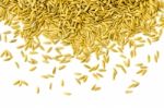 Pile Of Paddy Rice And Rice Seed On The White Background For Isolated Stock Photo