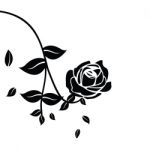 Black Silhouette Of Rose With Leaves Stock Photo