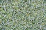 Green Fake Grass Background Stock Photo