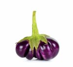 Eggplant Isolated On A White Background Stock Photo