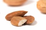 Sweet Almond Drupes Stock Photo