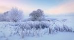 Fairy Winter Dawn Stock Photo