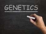 Genetics Blackboard Means Genes Dna And Heredity Stock Photo