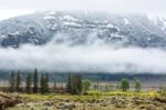 Countryside Of Yellowstone National Park Stock Photo