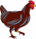 Chicken Hen Walking Side Woodcut Stock Photo