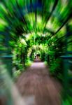 Green Corridor Motion Zoom Abstraction Stock Photo