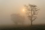 Misty Landscape Stock Photo