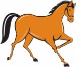 Horse Cantering Side Cartoon Stock Photo