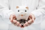 Piggy Bank Stock Photo