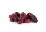 Mulberry Isolated On The White Background Stock Photo