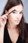 Woman Combing Eyebrow Stock Photo