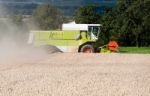 Combine Harvesting Corn Stock Photo