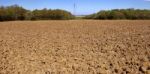 Agricultural Land Stock Photo