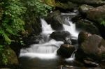 Torc Waterfall Stock Photo